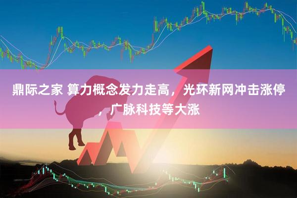 鼎际之家 算力概念发力走高，光环新网冲击涨停，广脉科技等大涨