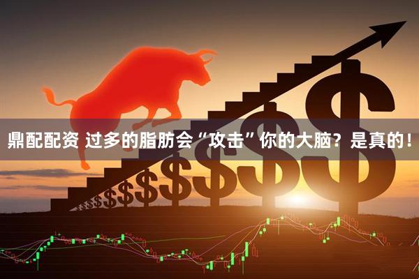 鼎配配资 过多的脂肪会“攻击”你的大脑？是真的！