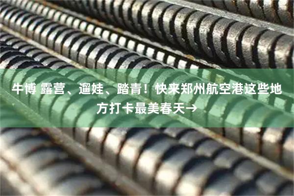 牛博 露营、遛娃、踏青！快来郑州航空港这些地方打卡最美春天→