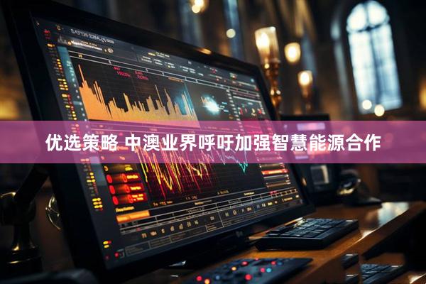 优选策略 中澳业界呼吁加强智慧能源合作