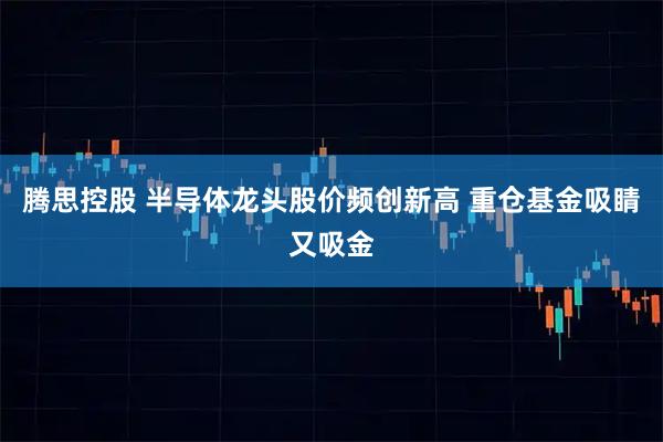 腾思控股 半导体龙头股价频创新高 重仓基金吸睛又吸金