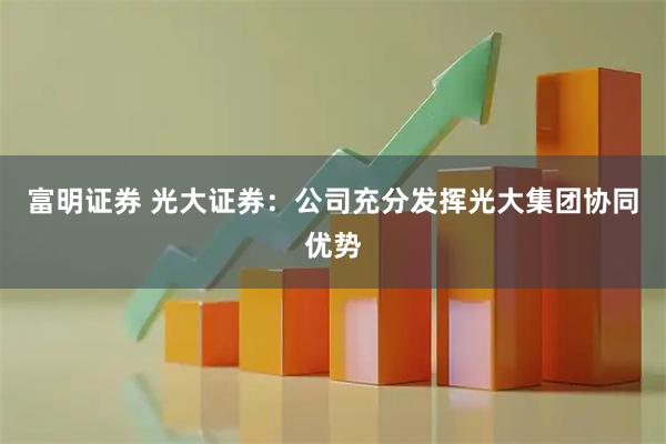 富明证券 光大证券：公司充分发挥光大集团协同优势